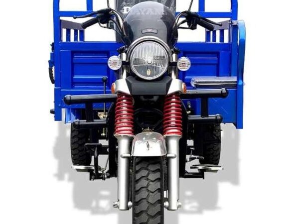 DY 175-ZH — Tricycle Cargo 175CC
