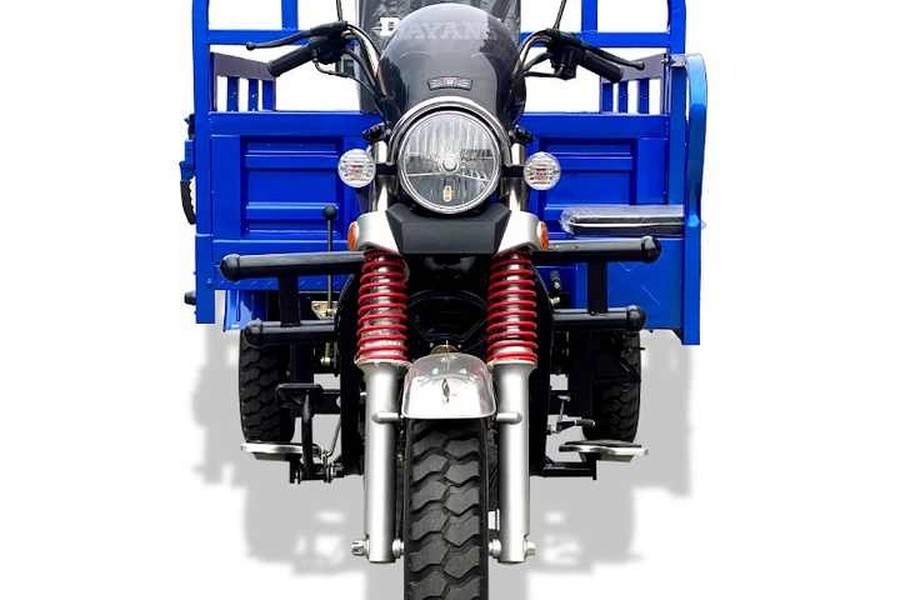DY 175-ZH — Tricycle Cargo 175CC