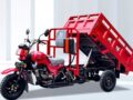 DY 200-ZH — Tricycle Cargo 200CC