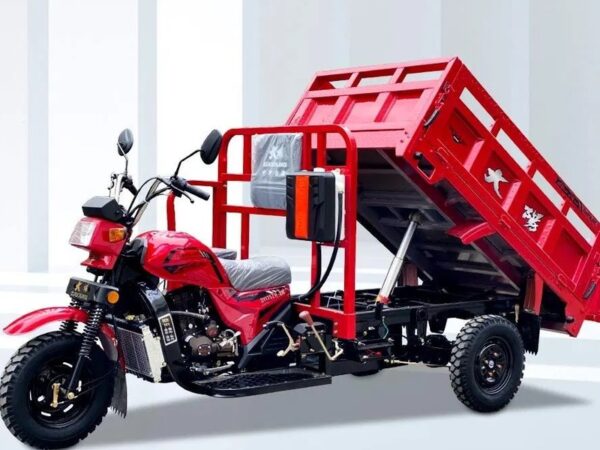 DY 200-ZH — Tricycle Cargo 200CC