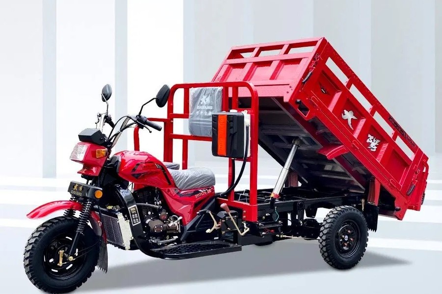 Tricycle Dayang DY 200-ZH