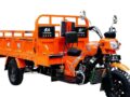 DY 250-ZH — Tricycle Cargo 250CC